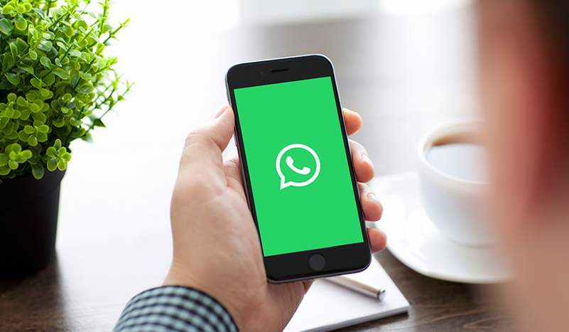 mão de um homem segurando o celular com a tela verde o simbolo do WhatsApp